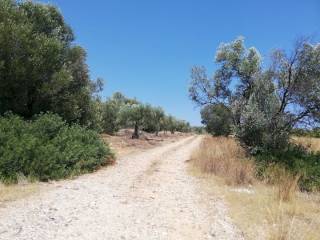 Εξωτερικοι χώροι