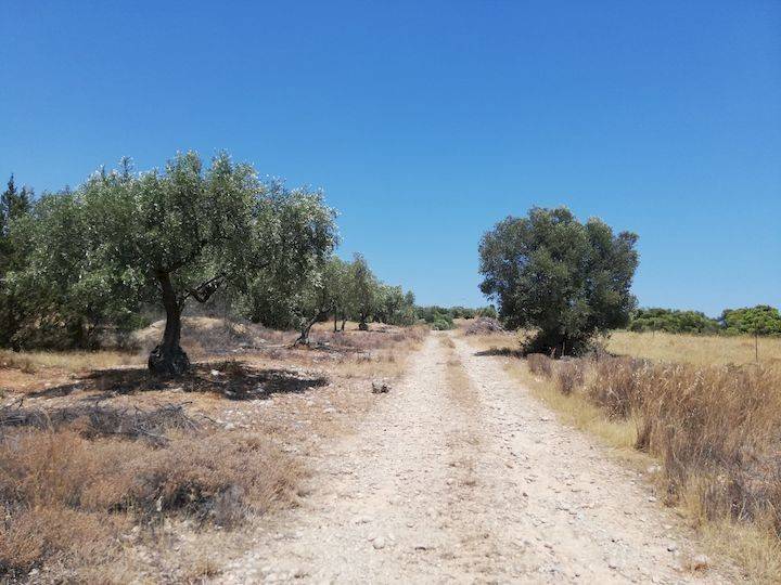 Εξωτερικοι χώροι