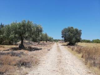 Εξωτερικοι χώροι