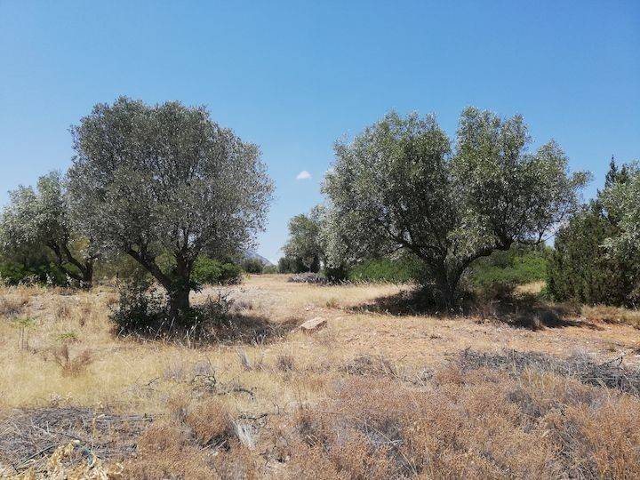 Εξωτερικοι χώροι