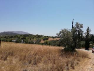 Εξωτερικοι χώροι