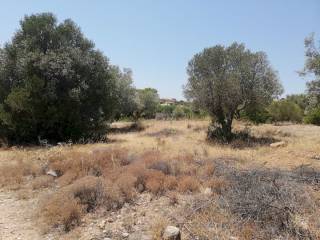 Εξωτερικοι χώροι