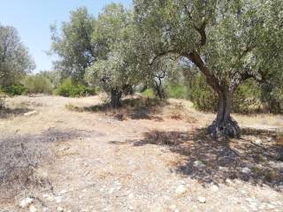 Εξωτερικοι χώροι