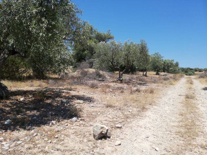 Εξωτερικοι χώροι