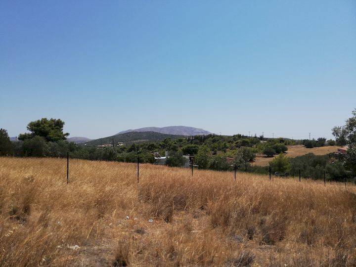 Εξωτερικοι χώροι