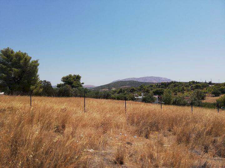 Εξωτερικοι χώροι