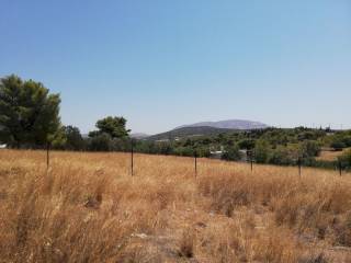 Εξωτερικοι χώροι