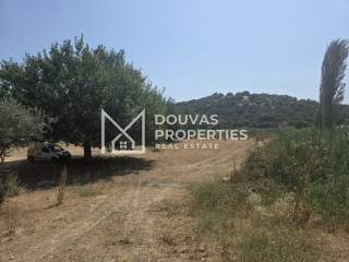 Buildable | Plot | Sikia | Sithonia | Halkidiki 