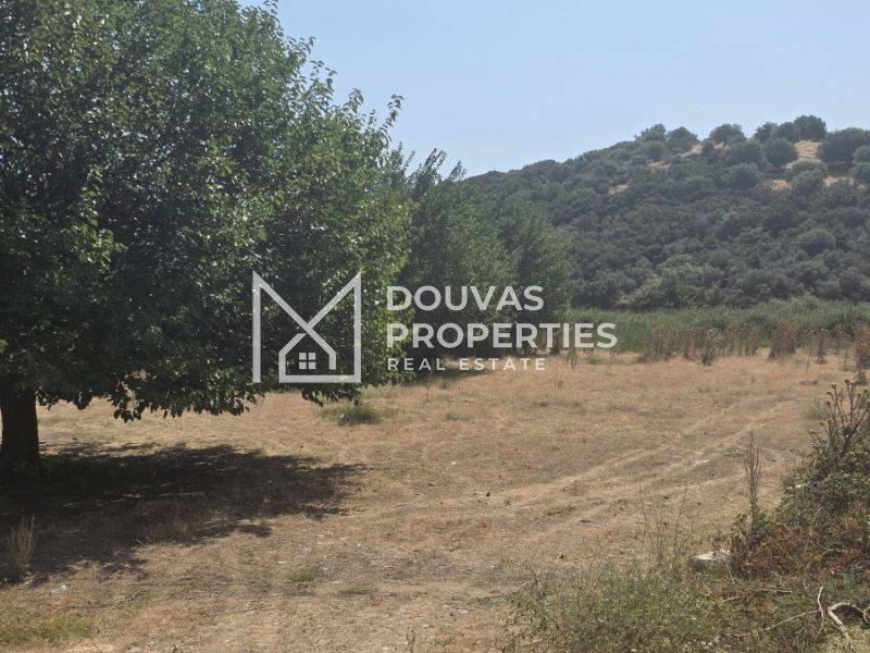 Buildable | Plot | Sikia | Sithonia | Halkidiki 