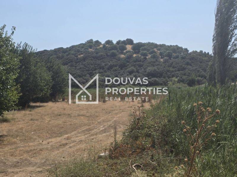 Buildable | Plot | Sikia | Sithonia | Halkidiki 