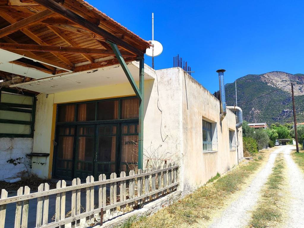 TMEMA TES BERANTAS ECHEI SKEPASTRO