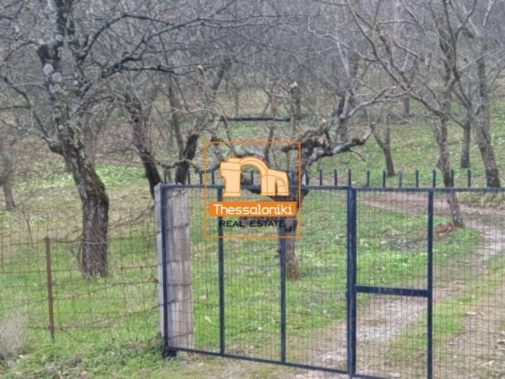 Λιτόχωρο, Αγροτεμάχιο, 4.000 τ.μ.