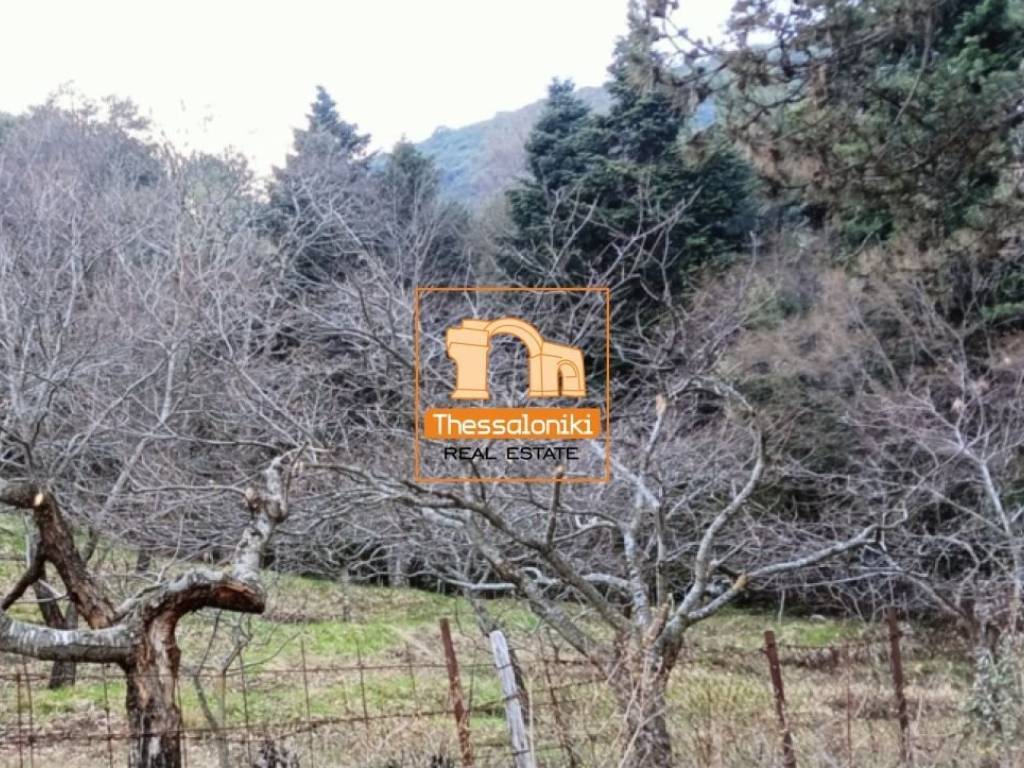 Λιτόχωρο, Αγροτεμάχιο, 4.000 τ.μ.