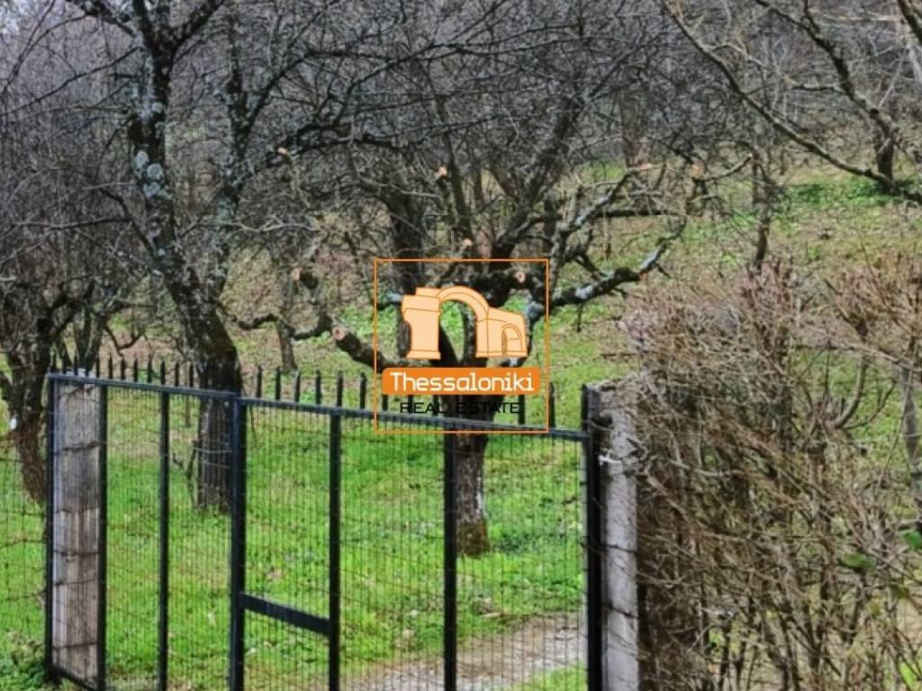 Λιτόχωρο, Αγροτεμάχιο, 4.000 τ.μ.