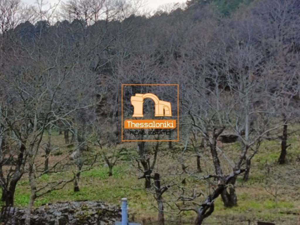 Λιτόχωρο, Αγροτεμάχιο, 4.000 τ.μ.