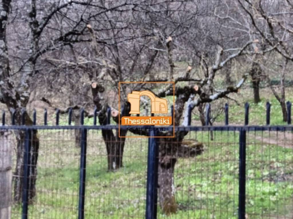 Λιτόχωρο, Αγροτεμάχιο, 4.000 τ.μ.