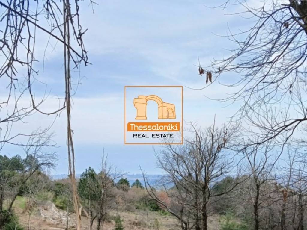 Λιτόχωρο, Αγροτεμάχιο, 4.000 τ.μ.