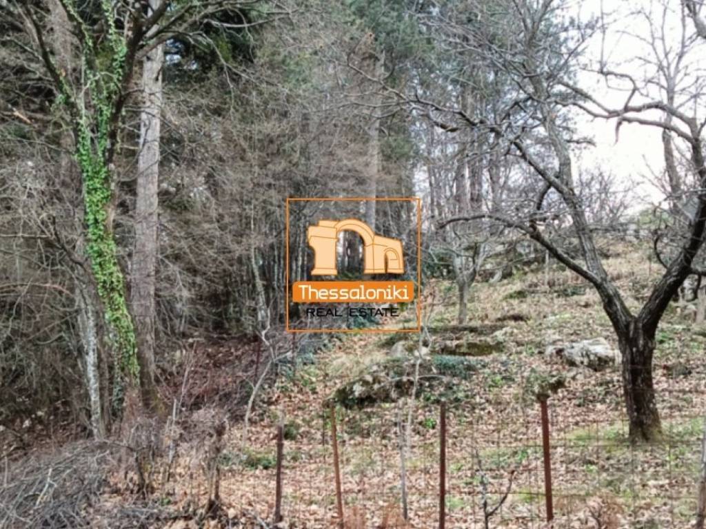 Λιτόχωρο, Αγροτεμάχιο, 4.000 τ.μ.