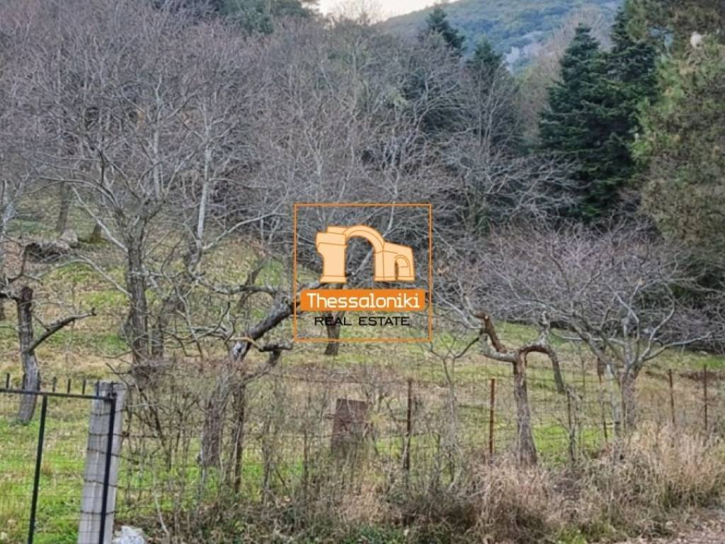 Λιτόχωρο, Αγροτεμάχιο, 4.000 τ.μ.