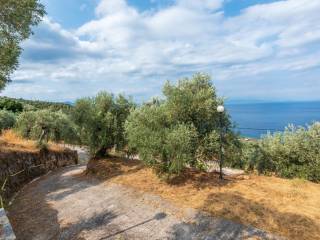 Εξωτερικοι χώροι