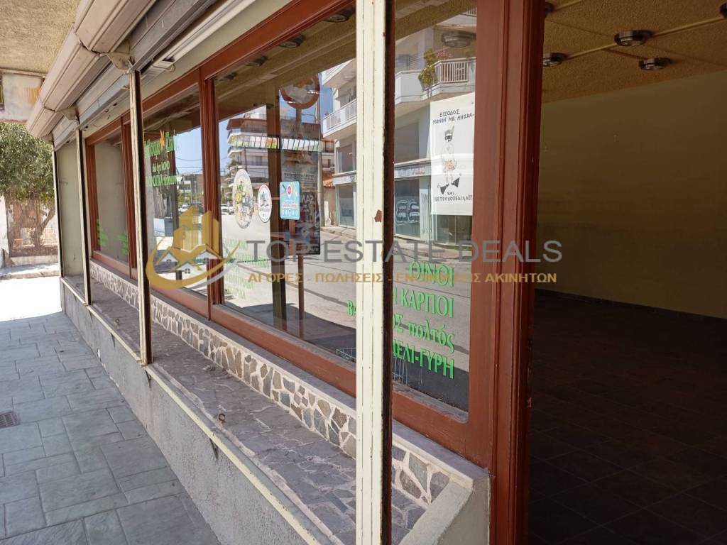 tzamaries -kentrike porta katastematos