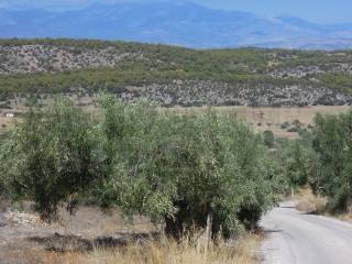 Αγροτεμάχιο με θέα θάλασσα