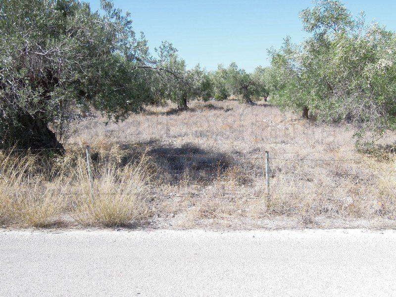 Αγροτεμάχιο με θέα θάλασσα