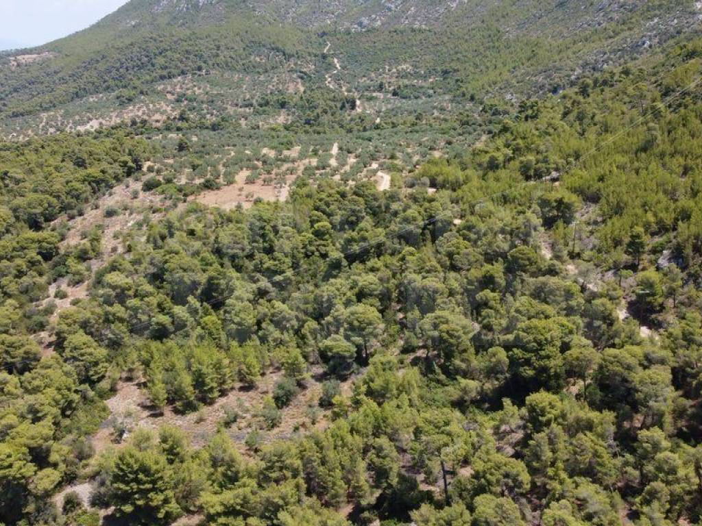 Αγροτεμάχιο με θέα θάλασσα