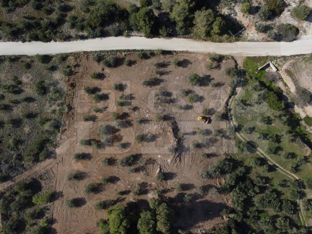 Αγροτεμάχιο πρόσοψη σε δρόμο