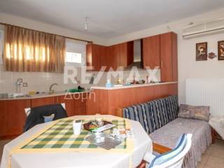 Σαλοκουζίνα