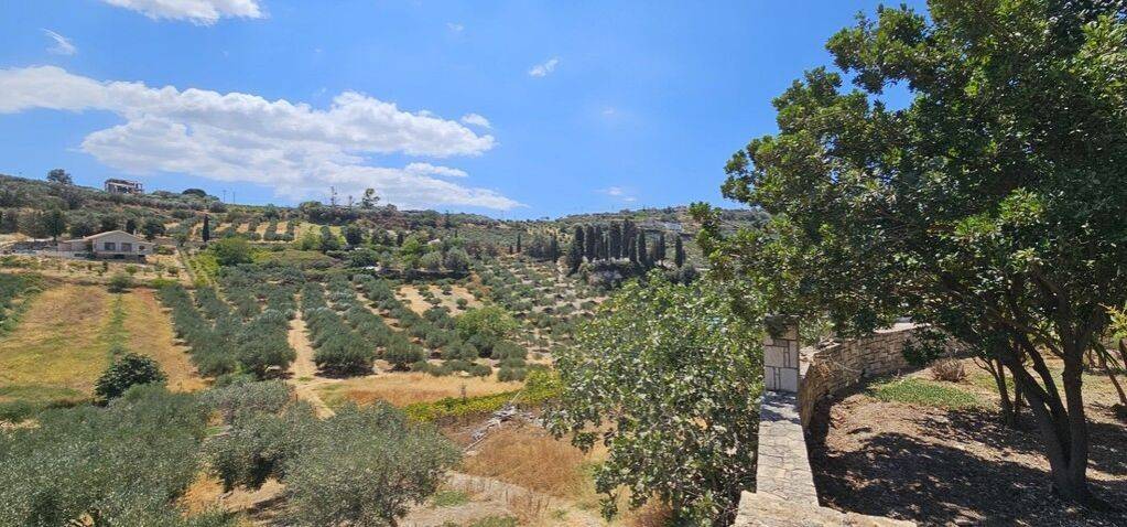 Villa - Grekodom 63916|1005949