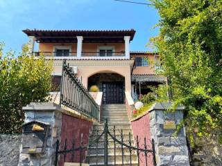 Apartment - Grekodom 63914|1004792