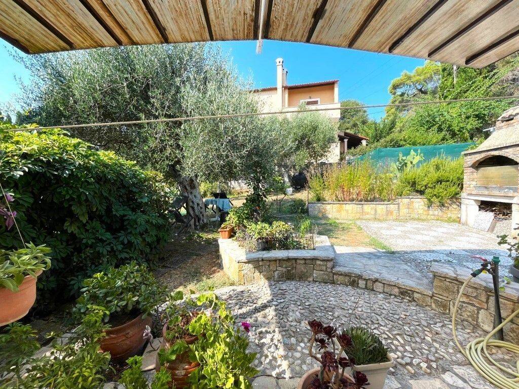 Apartment - Grekodom 63914|1004799