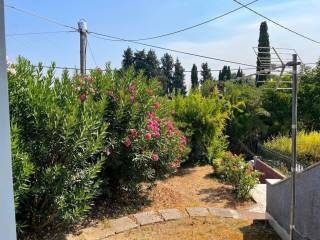 Apartment - Grekodom 63914|1004819