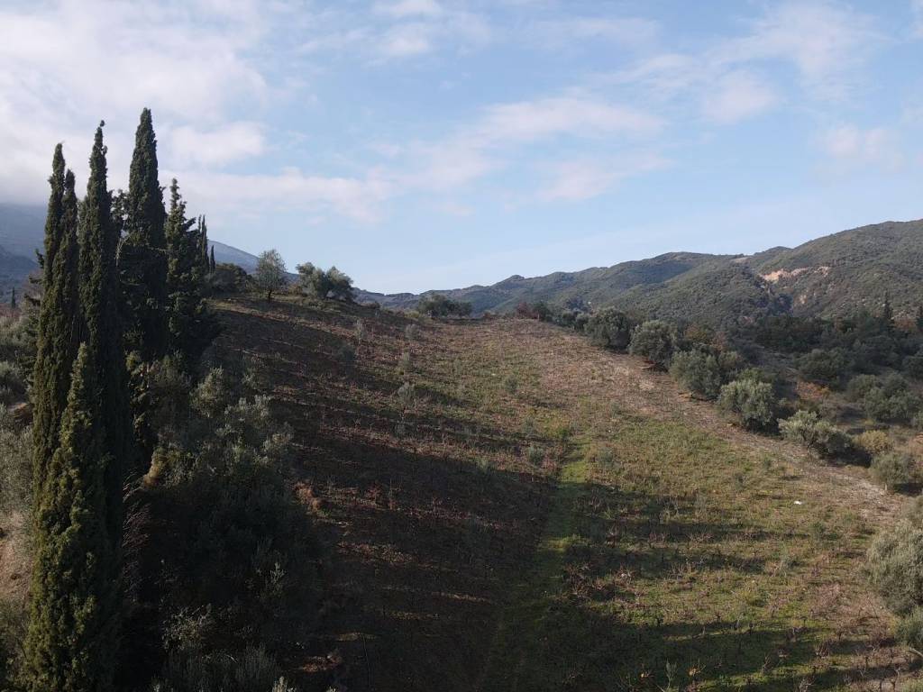 Λήψη από drone