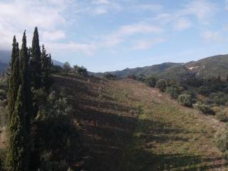 Λήψη από drone