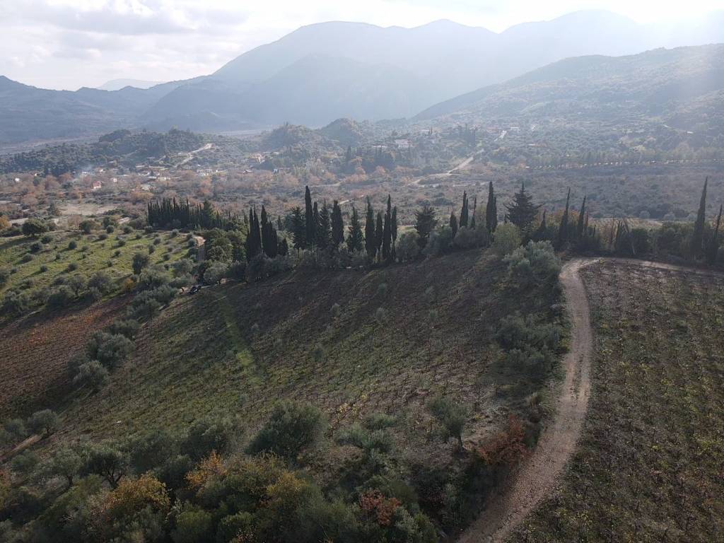 Λήψη από drone