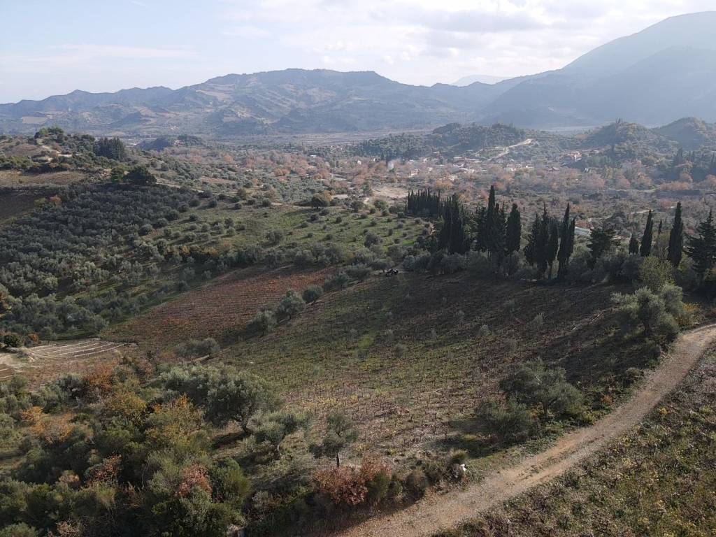 Λήψη από drone