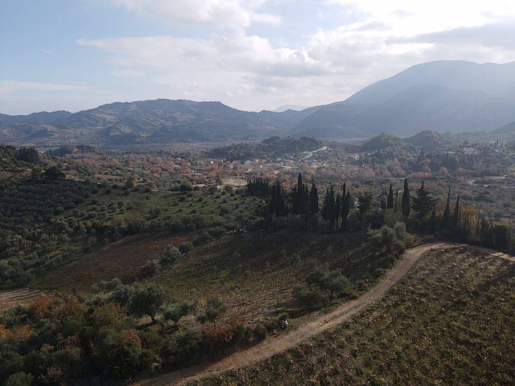 Λήψη από drone