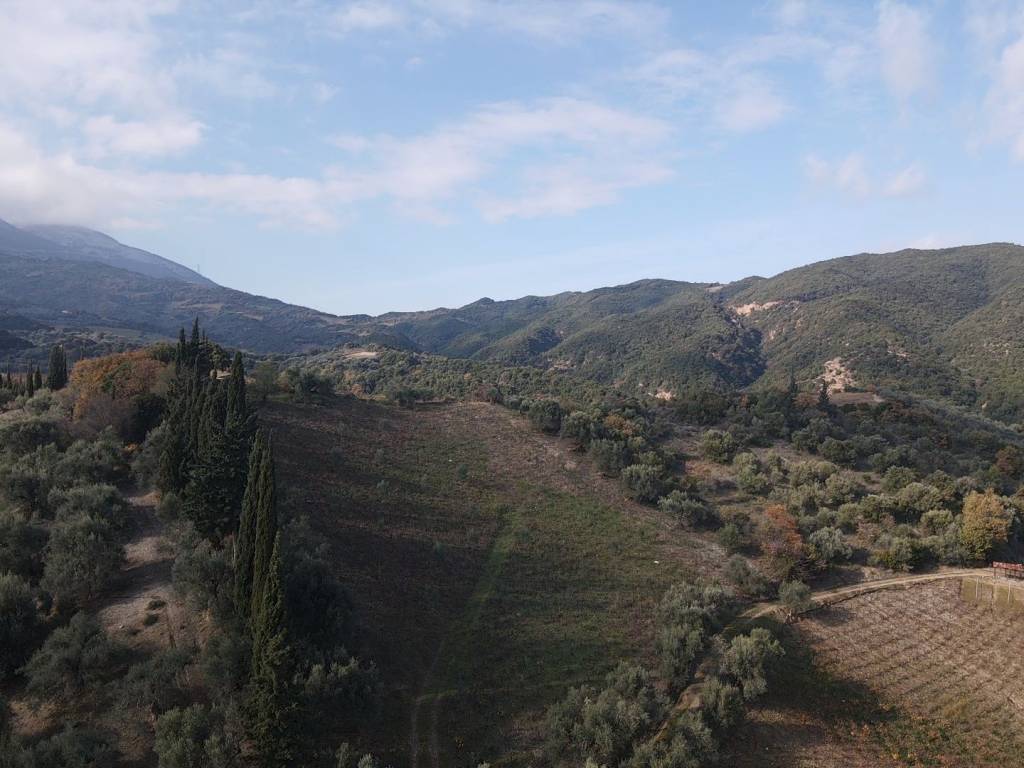 Λήψη από drone