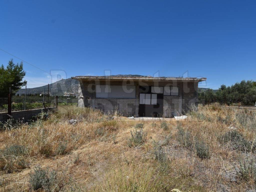 αγροτεμάχιο με θέα