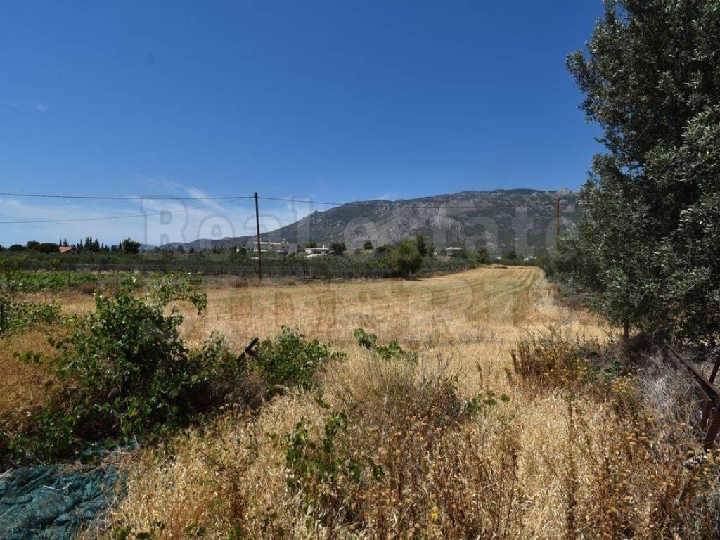 αγροτεμάχιο με θέα