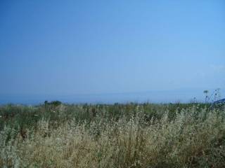 θεα θαλασσα