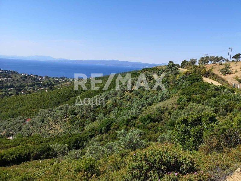 αγροτεμάχιο