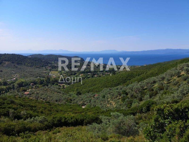 αγροτεμάχιο