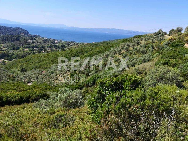 αγροτεμάχιο