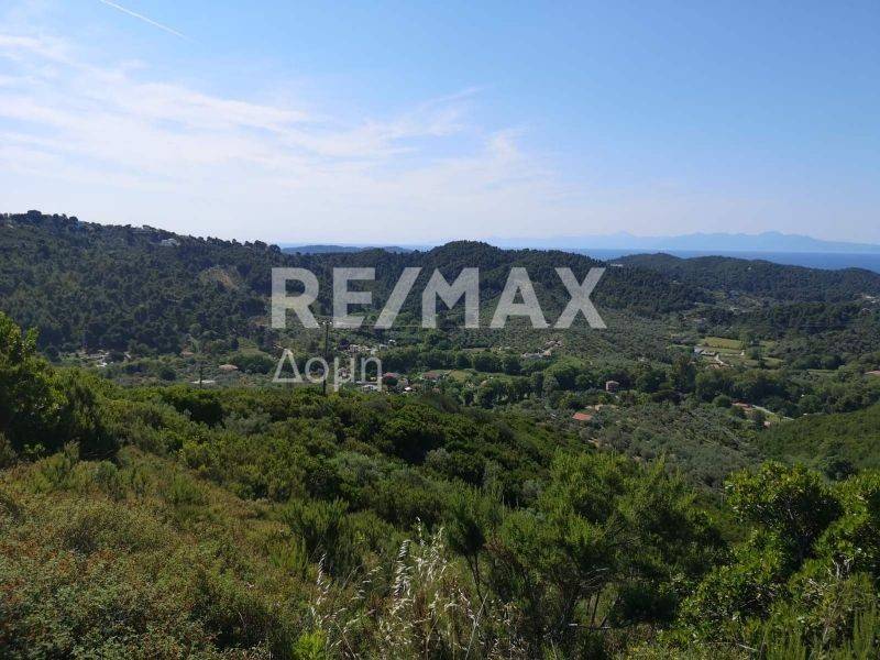 αγροτεμάχιο