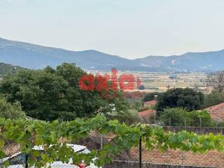 Φίλιπποι, Καβάλα: ΠΡΟΣ ΠΩΛΗΣΗ: Πέτρινη μονοκατοικία