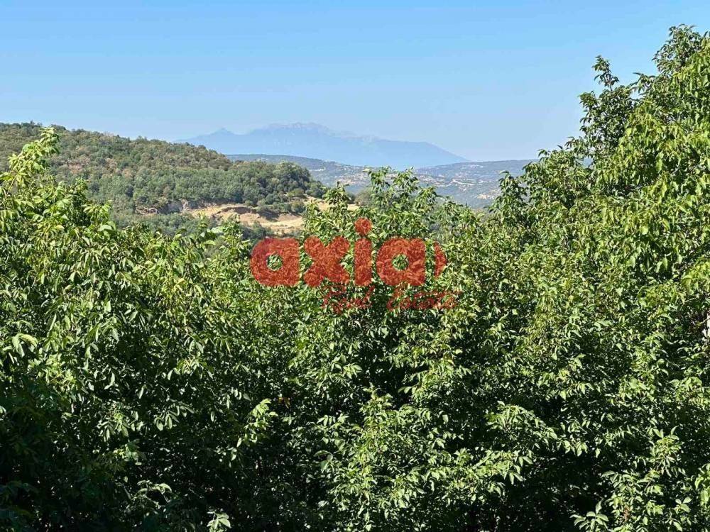 Πλαταμώνας, Καβάλα: ΠΡΟΣ ΠΩΛΗΣΗ: Μονοκατοικία, 140 τ.μ.