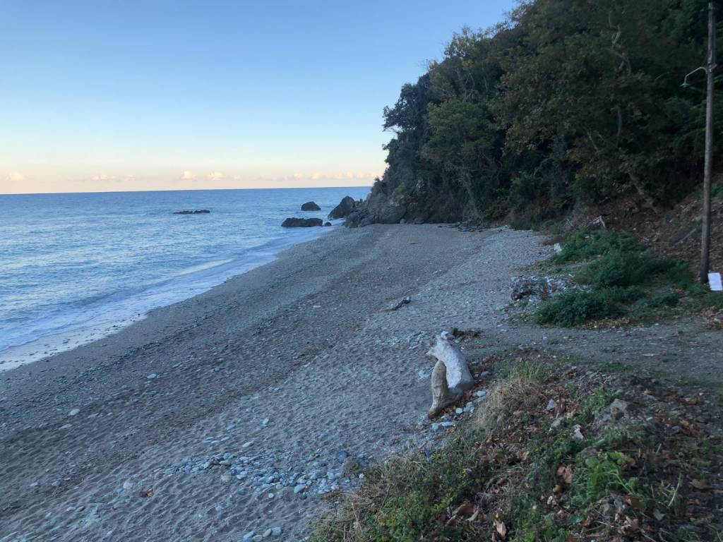 E PARALIA KATO APO TO AKINETO